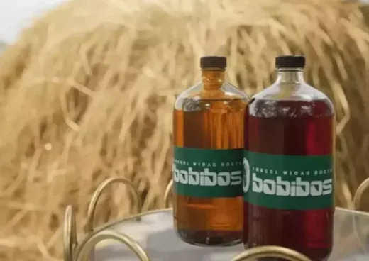 Bisnis Clairmont Bangkrut, Perlu Dipelajari Produsen Bobibos di Indonesia