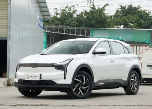 Meski Pasar Masih Nanjak, Ternyata Penjualan Ritel Neta Auto di Cina Anjlok