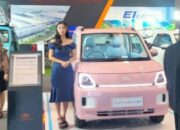 Ternyata Begini Penjualan Mobil Listrik Seres di RI Januari – Agustus Tahun Ini
