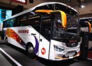 Ini Bus Hino AK 240 Bagasi Space Frame, Solusi Berbagai Kebutuhan Transportasi