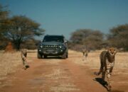 Ikut Selamatkan Cheetah dan Habitatnya, Jetour Diganjar Penghargaan Program ESG Terbaik 2024