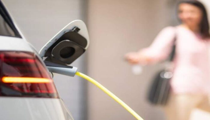 Pasar Melempem , Asosiasi Mobil Listrik Jerman Ajukan Pailit ke Pengadilan
