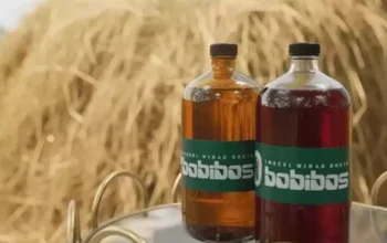 Bisnis Clairmont Bangkrut, Perlu Dipelajari Produsen Bobibos di Indonesia