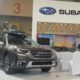 Penjualan Subaru Indonesia di Januari – November 2025 Babak Belur, November Nihil